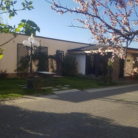 Pensiune Arada Esterno foto